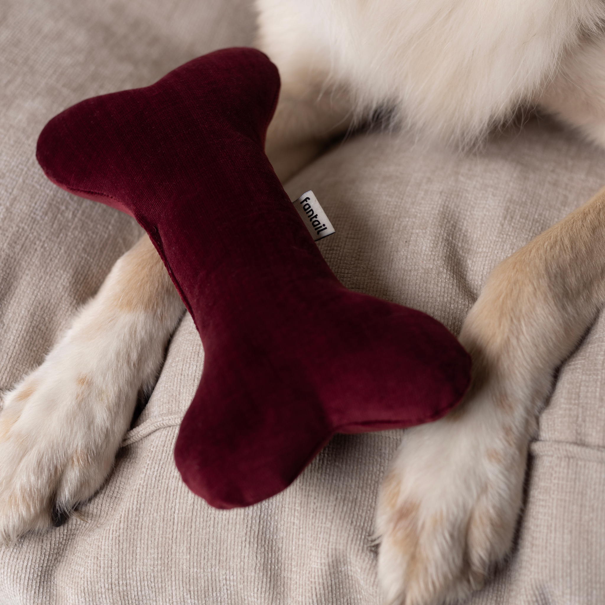 Christmas Bones x A.DOPT