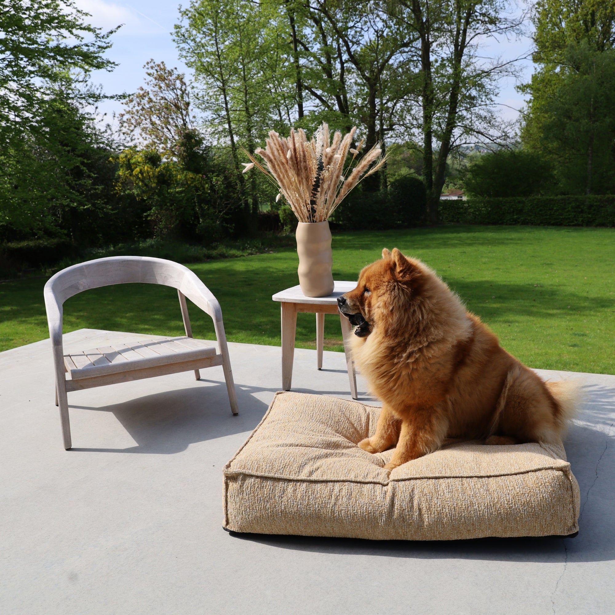 Snug Limited Edition Honey Nap