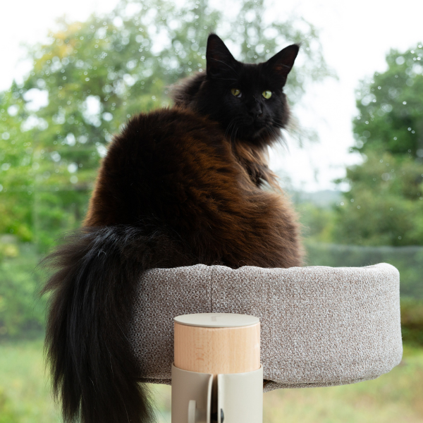 Chill Basket Taupe