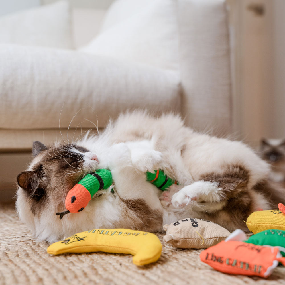 King Catnip
