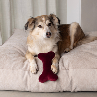 Christmas Bones x A.DOPT