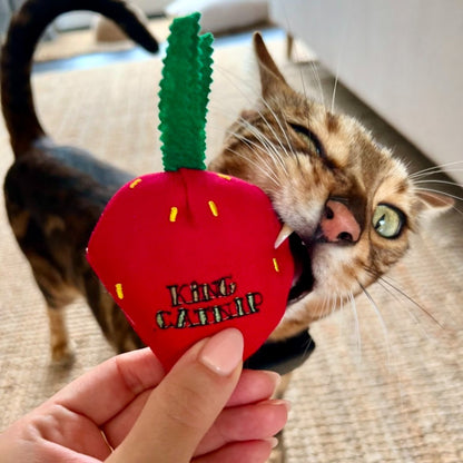 King Catnip