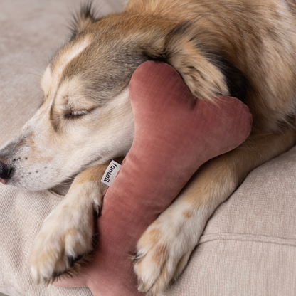 Christmas Bones x A.DOPT