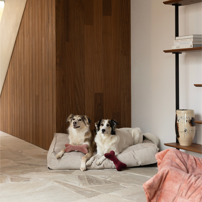 Christmas Bones x A.DOPT