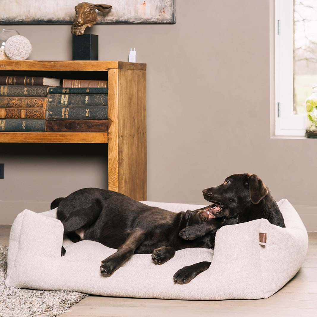Snooze Endurance Basket British Tan Large - Fantail.be