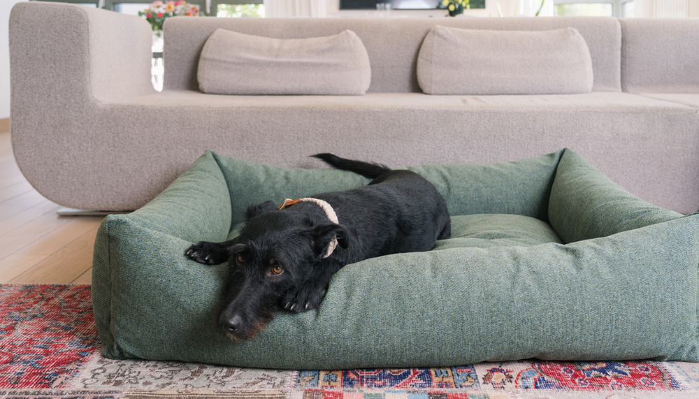 Fantail dog bed 2025