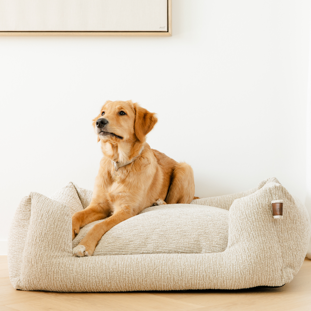 A golden retriever dog sits on a textured cream-colored dog bed with a low wall and wooden floor..#color_clay-beige