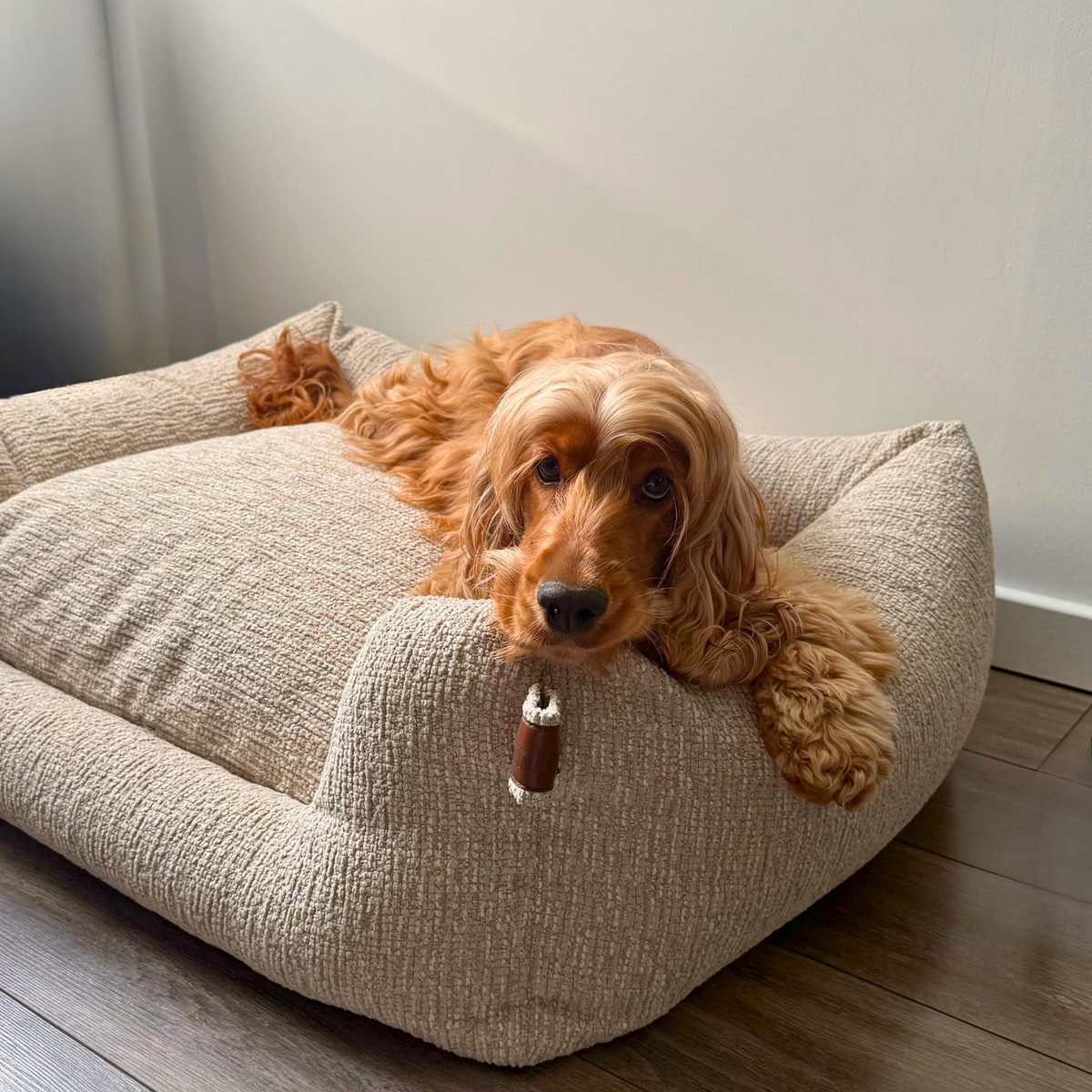A golden retriever dog lies relaxed on a textured beige fabric dog bed with a small bone-shaped chew hanging from the front edge, set on a dark wood floor against a light wall.#color_clay-beige