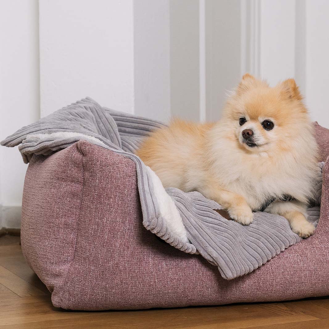 Homey Dog Blanket Dim Grey 65x95cm - Fantail.be