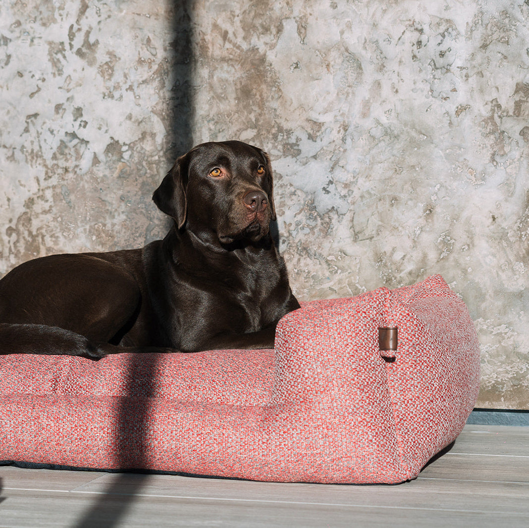 Snooze Endurance Basket Fire Brick