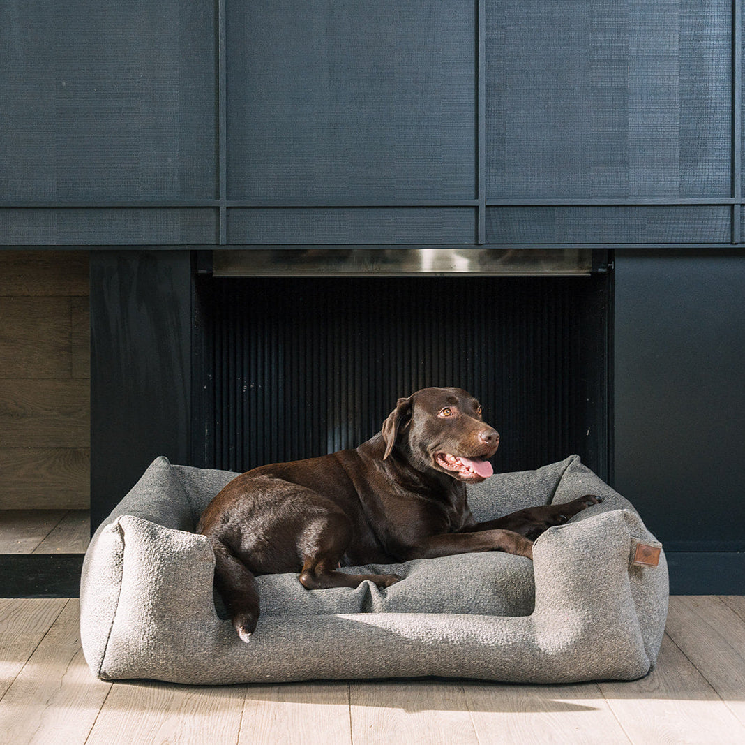 Snooze Endurance Basket Harbor Grey