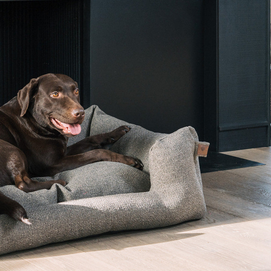 Snooze Endurance Dog Bed Harbor Grey