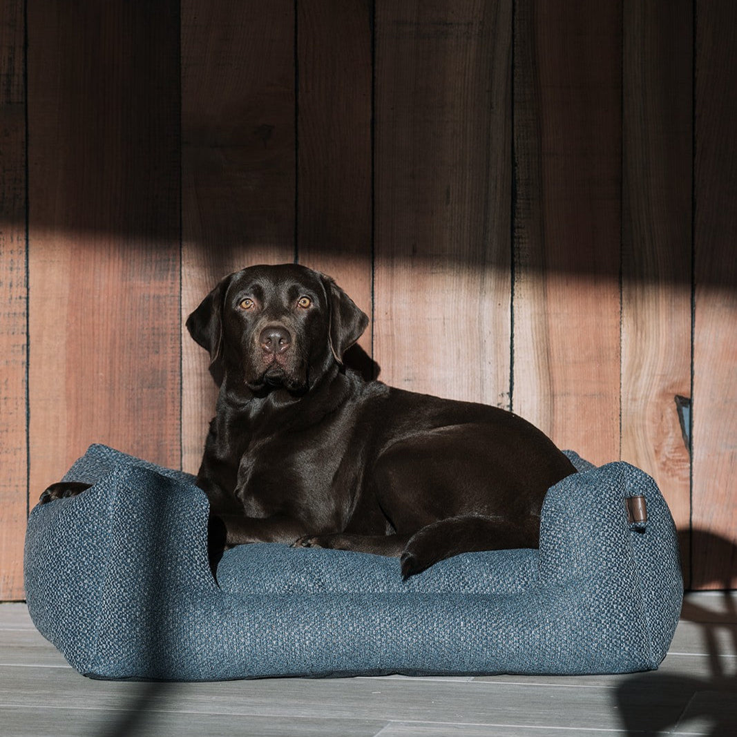 Snooze Endurance Dog Bed Midnight Blue