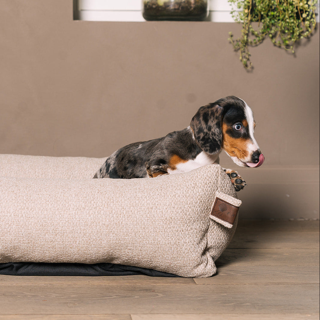 Snug Endurance Basket British Tan