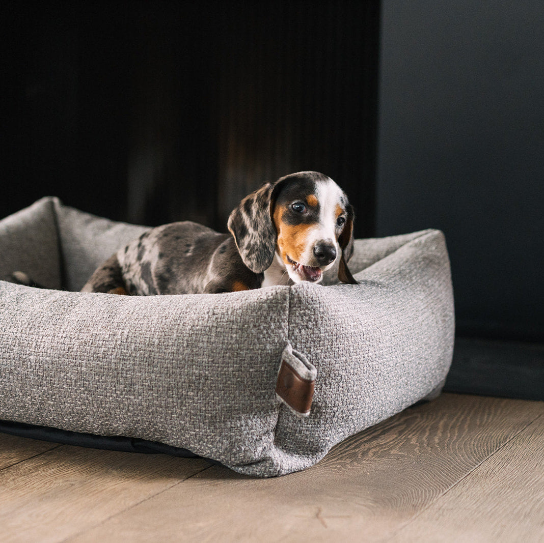 Snug Endurance Dog Bed Harbor Grey