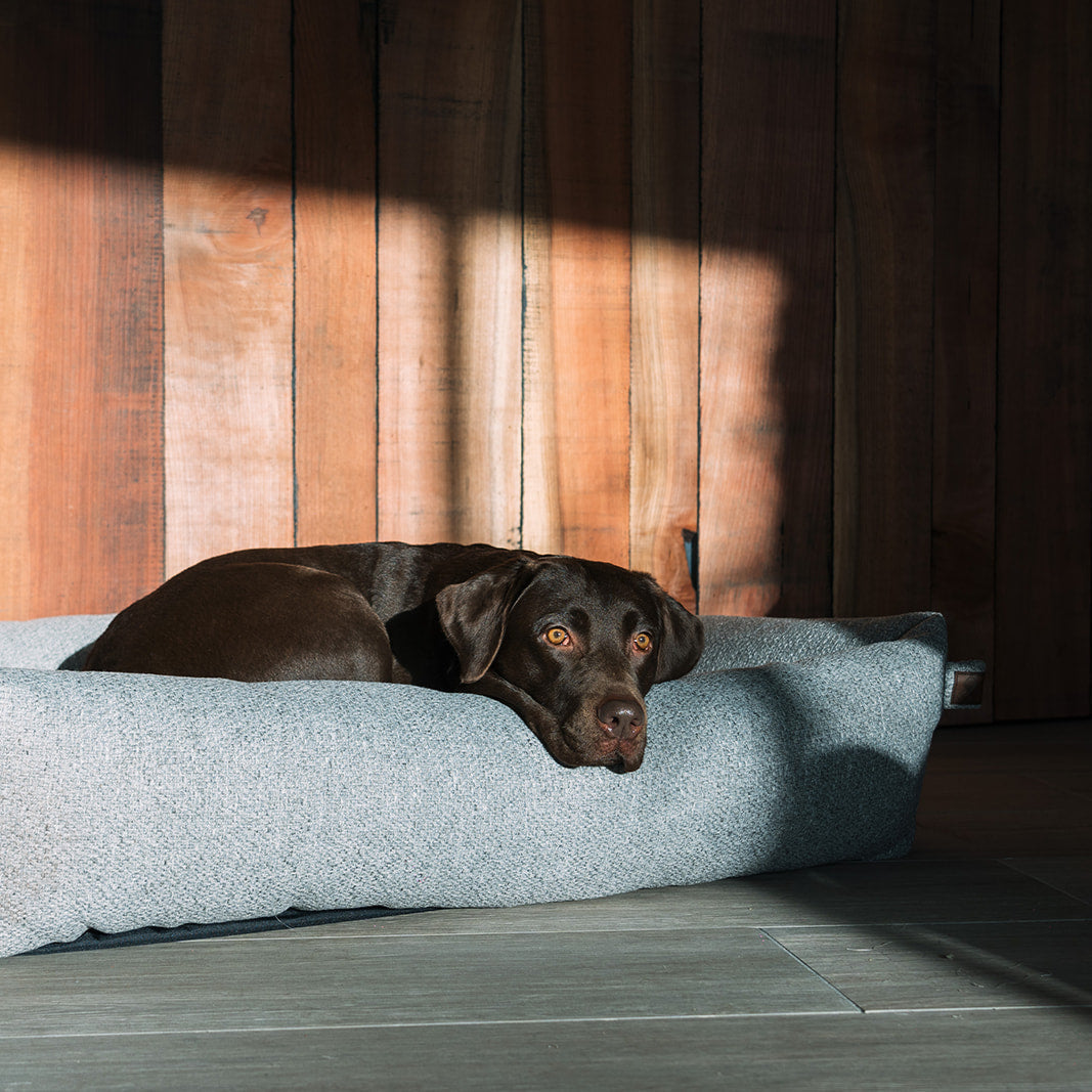 Snug Endurance Dog Bed Midnight Blue