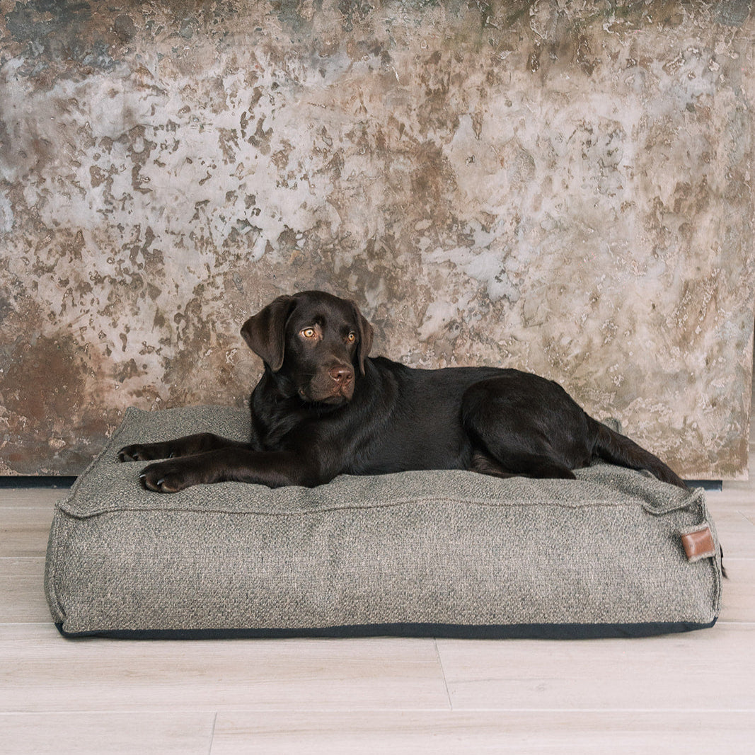 Stargaze Endurance Mattress Harbor Grey