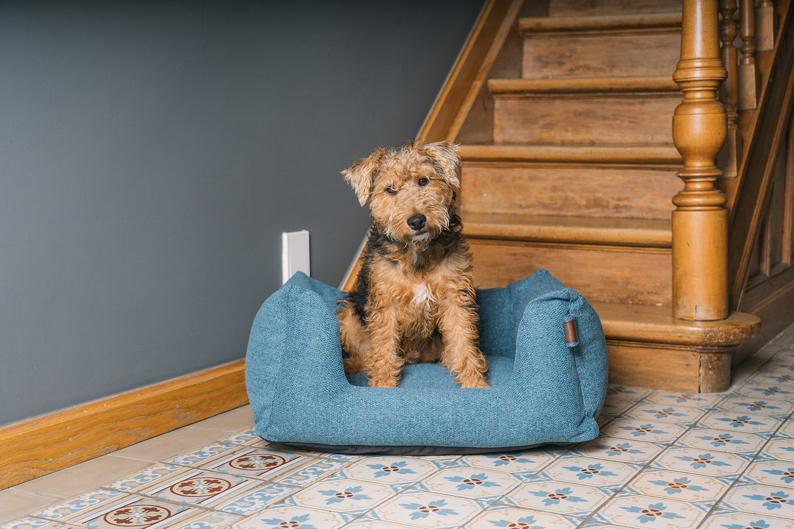 Basket Snooze Cosmic Blue Small 60x50cm - Fantail.be