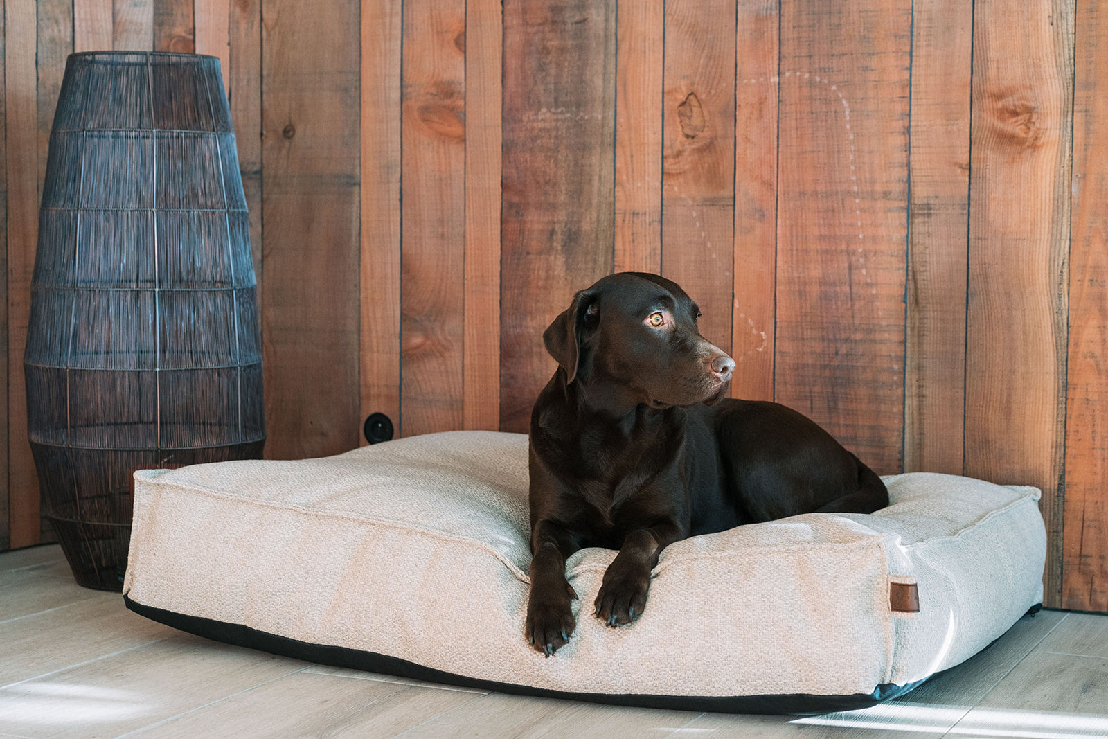 Stargaze Conscious Mattress British Tan Small - Fantail.be