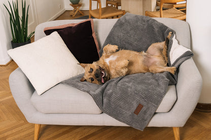 Dog Blanket Shade Grey #color_shade-grey