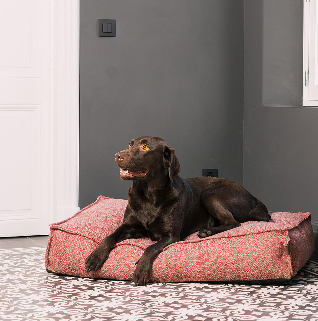 Stargaze Endurance Mattress Fire Brick Large - Fantail.be