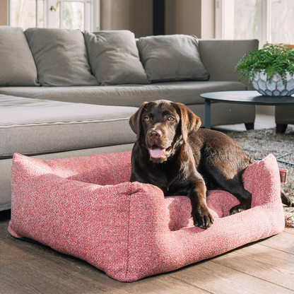 A brown dog lies in a pink textured dog bed on a wooden floor in a living room with a gray sectional sofa and a small table with a plant.