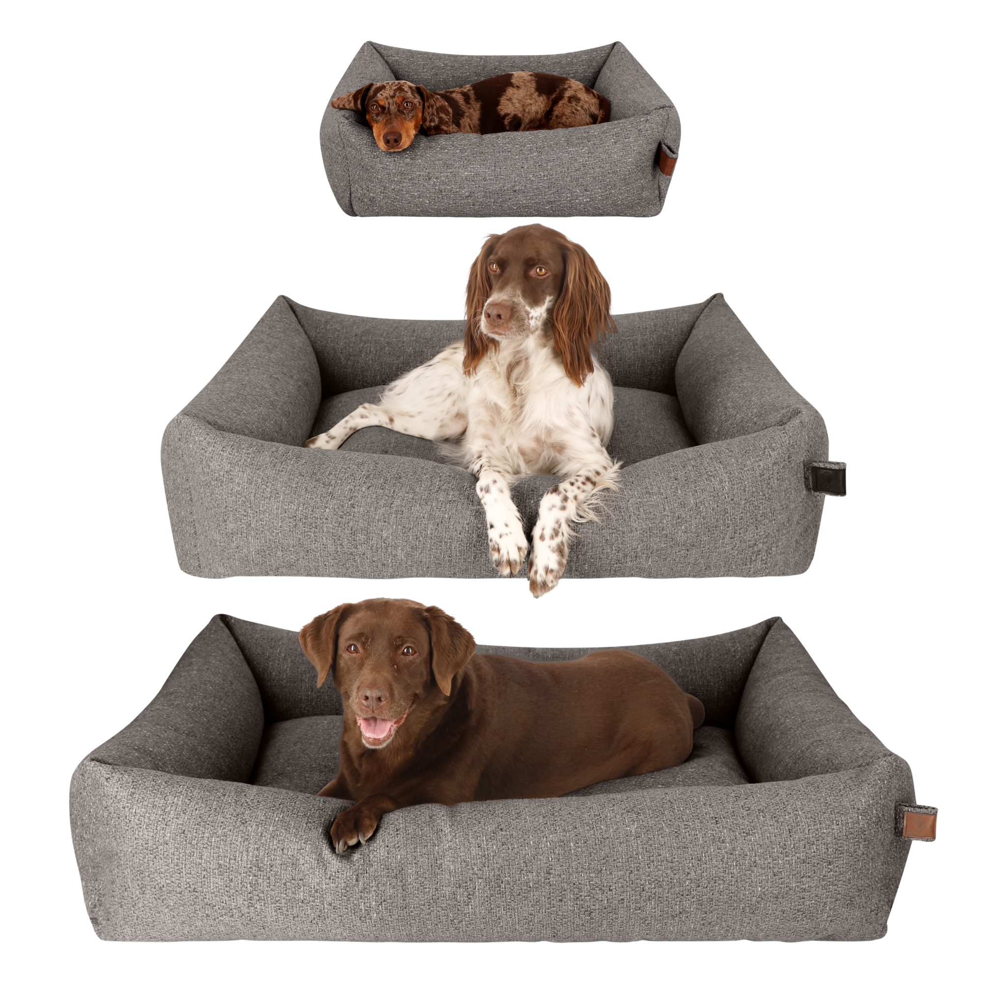 Three Snug dog beds in grey with dogs of different sizes, showing the size range