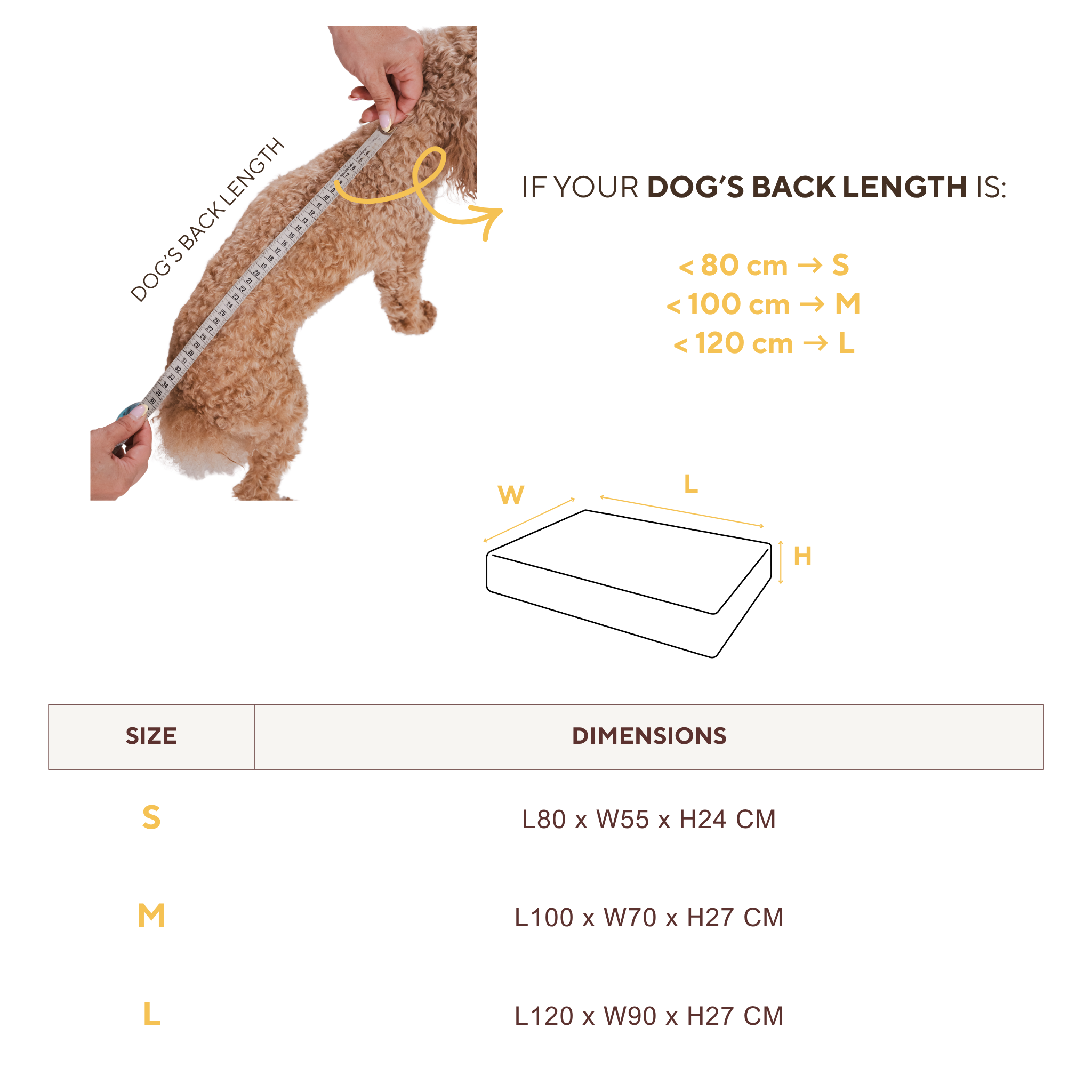 Size guide for the Stargaze dog mattress: measure your dog's back length - under 80 cm is size S, under 100 cm is M, under 120 cm is L - with the dimensions of each size