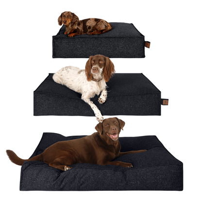 Three Stargaze dog mattresses in dark grey with dogs of different sizes, showing the size range