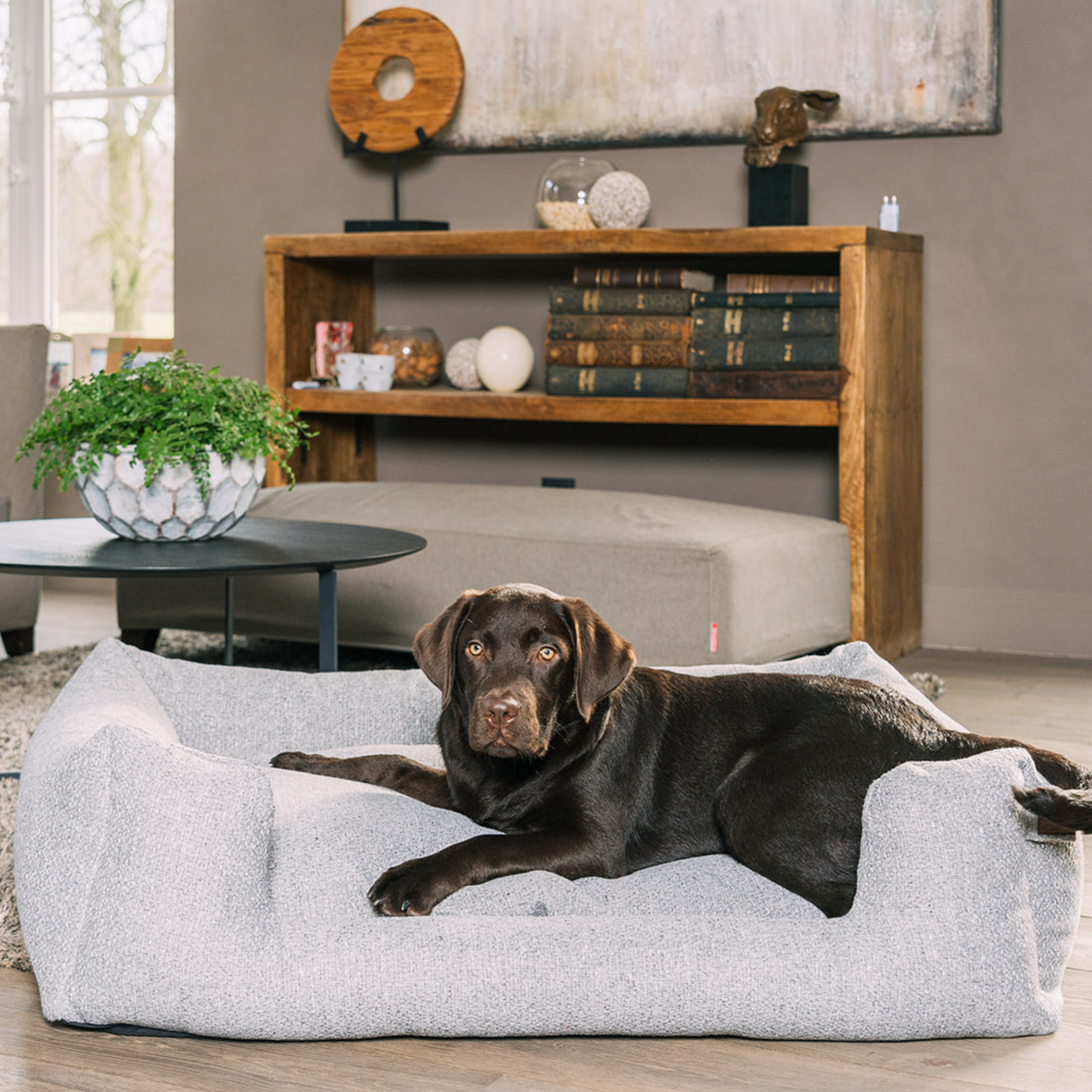 A black Labrador retriever lies relaxed on a large, plush light gray bouclé pet bed in a modern living room setting.