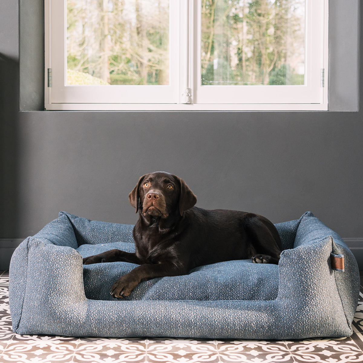 A dark brown Labrador retriever lies comfortably inside a textured blue-gray raised dog bed placed on a patterned rug in front of a gray wall and window.