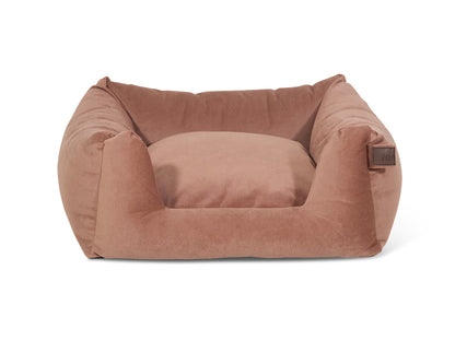 Snooze Limited Edition Mocha Mousse
