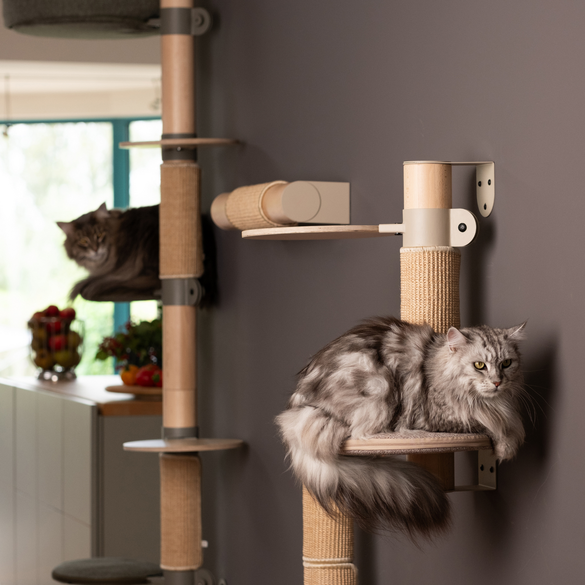 Explorer Cat Tree N°10 Green | 60cm Small Wall-Mounted Cat Tree ...