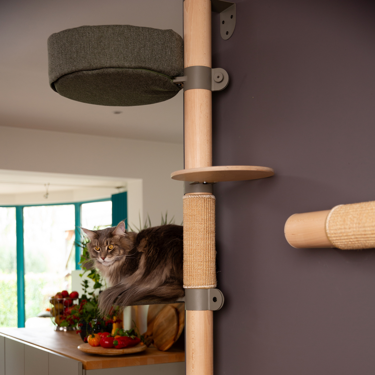 Adventurer Cat Tree N°11 Orange | 180cm Modular Wall-Mounted Cat Tree ...