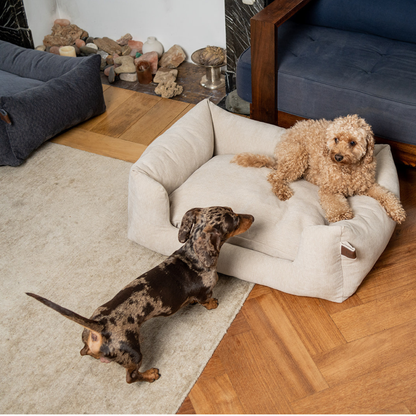 A cream-colored fabric pet bed with a raised bolstered cushion sits on a wood floor in a living room. A fluffy tan dog is lying on the bed, while a dachshund stands nearby looking at it.