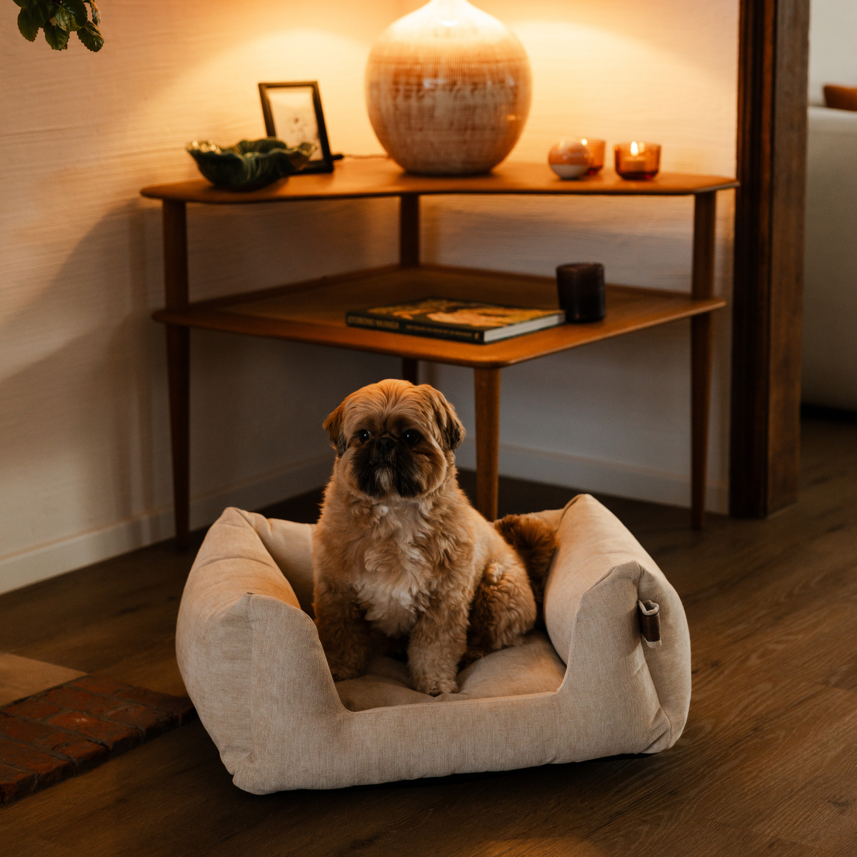 A small fluffy brown dog sits in a cream-colored fabric dog bed placed on a dark wood floor in a cozy room with a wooden shelf and warm lighting in the background.