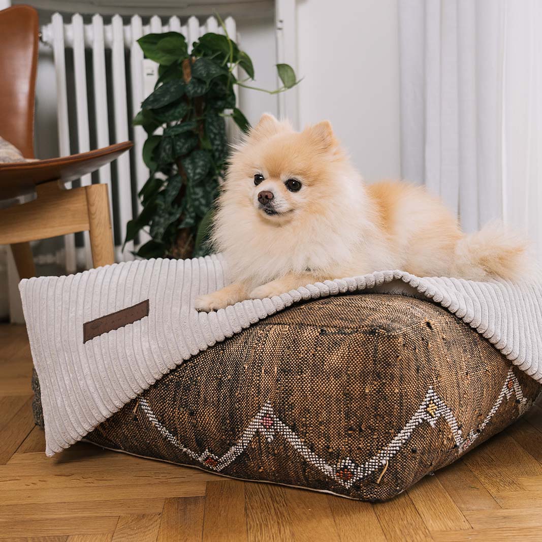 Homey Dog Blanket Pale Grey 65x95cm - Fantail.be