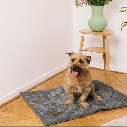 Homey Dog Blanket Shade Grey 65x95cm - Fantail.be
