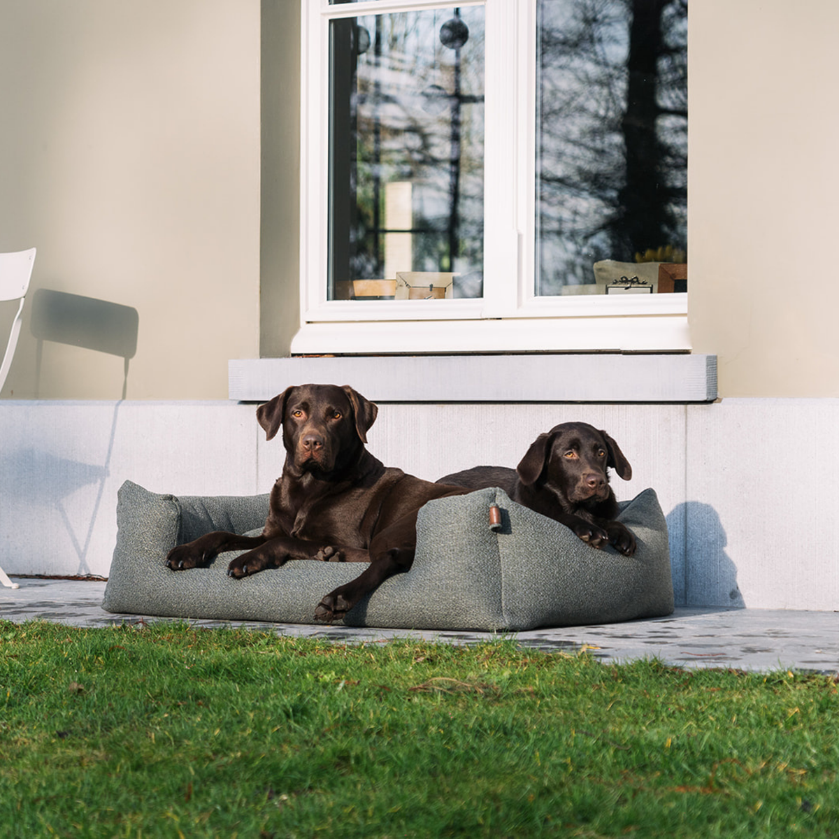 Two chocolate Labrador retrievers lying on a gray outdoor dog bed on a patio in front of a house window, with green grass in the foreground.