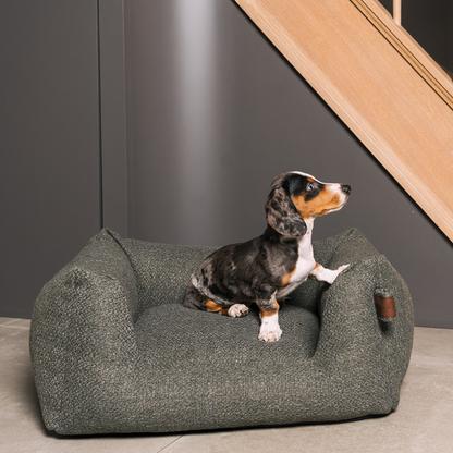 A small tricolor puppy sits on a plush, low-profile dog bed with a textured gray-green fabric, set against a modern gray wall and wooden staircase.