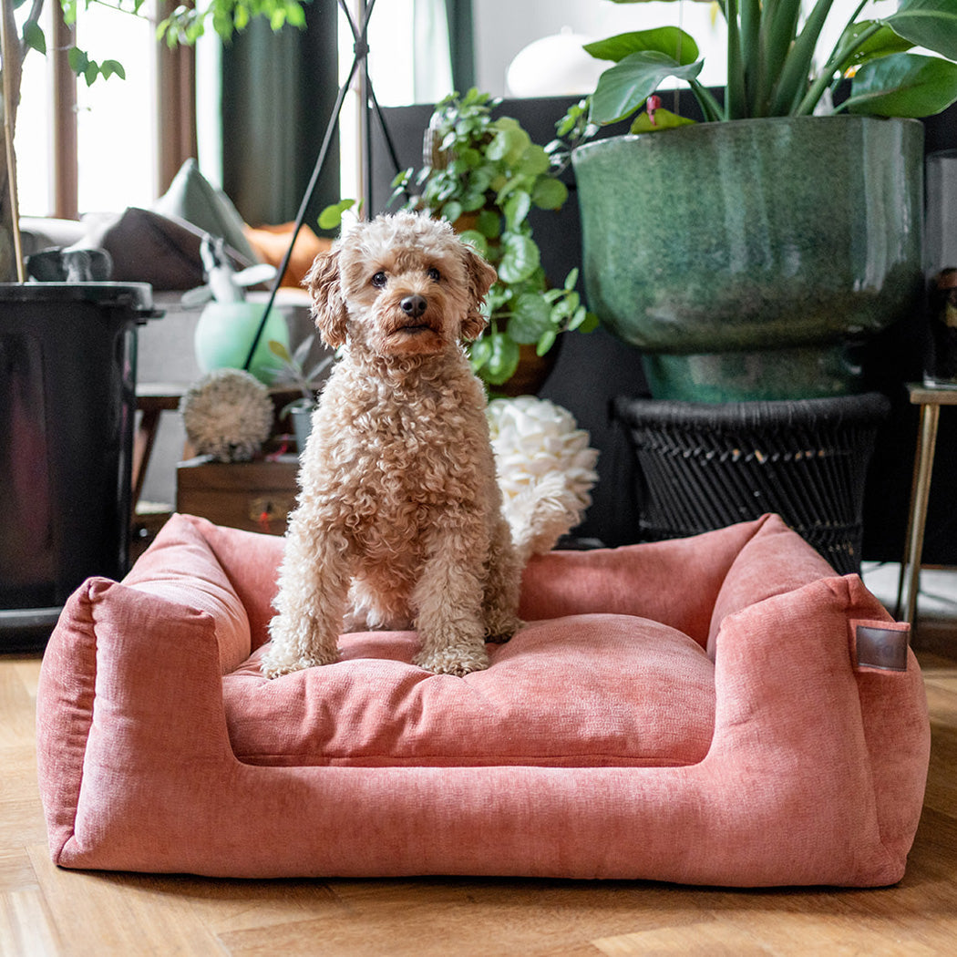 Snooze Mellow Basket Rusty Orange