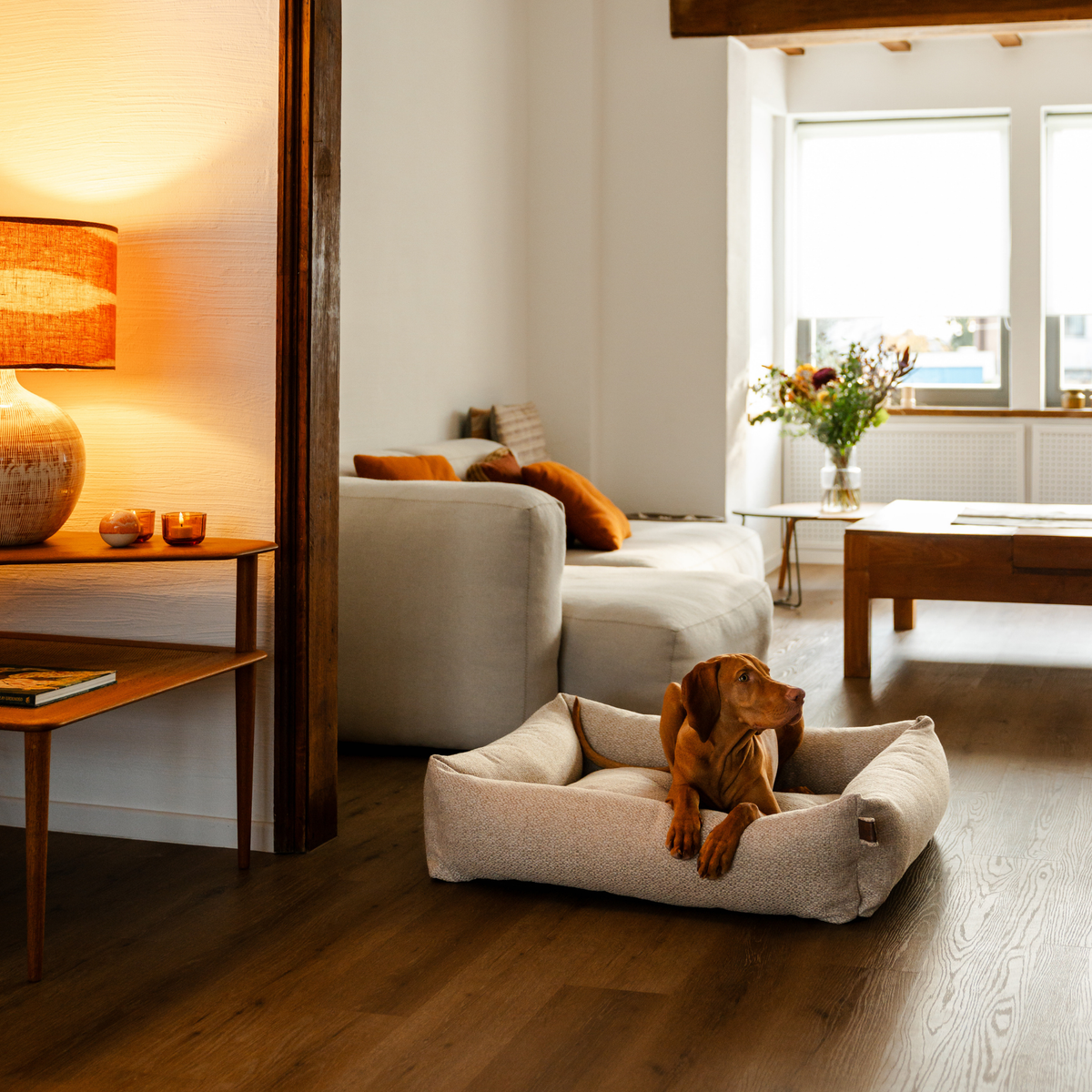 A Vizsla resting in the British Tan Snug dog bed in a warm living room #color_british-tan