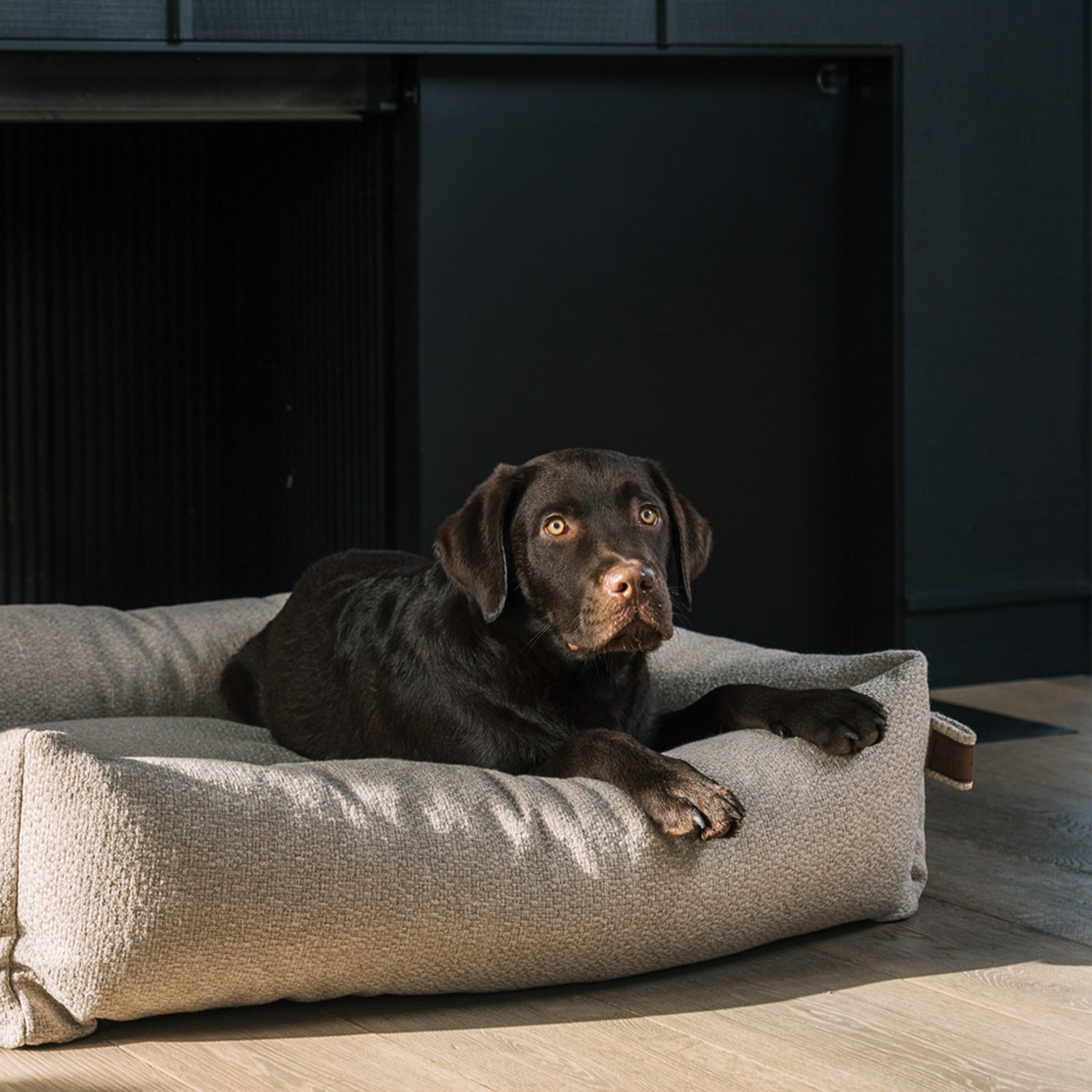 Chocolate Labrador lying in the British Tan Snug dog bed #color_british-tan