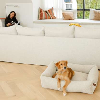 Golden retriever resting in the Clay Beige Snug dog bed beside a white sofa 