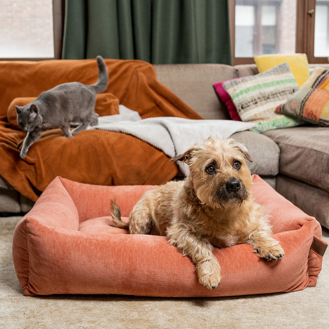 Snug Mellow Basket Rusty Orange