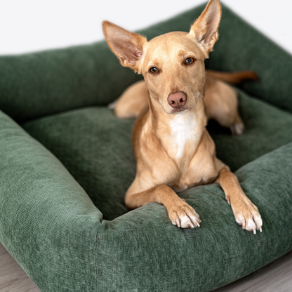 A tan dog lying in the Emerald Green Snug dog bed 
