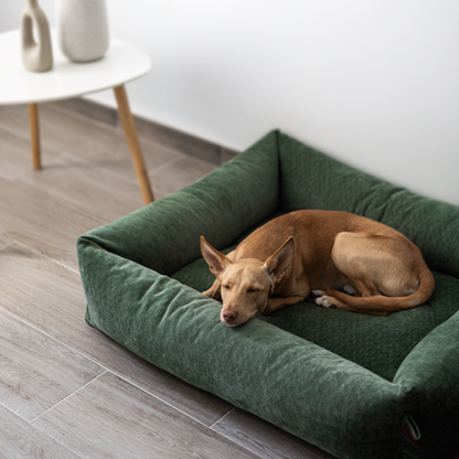 A dog curled up asleep in the Emerald Green Snug dog bed 