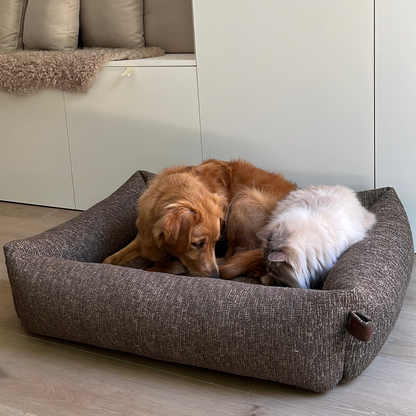 A dog and a white cat sharing the Espresso Brown Snug dog bed 