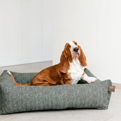A Basset Hound lying in the Forest Green Snug dog bed 