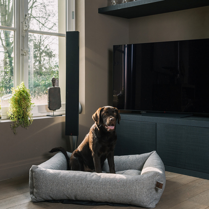 Chocolate Labrador sitting in the Harbor Grey Snug dog bed in a living room 